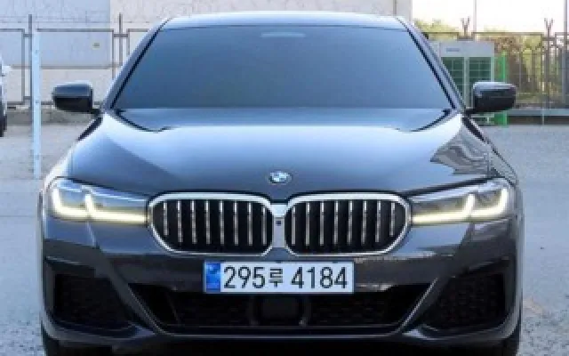 5시리즈 (G30) 530i xDrive M 스포츠
